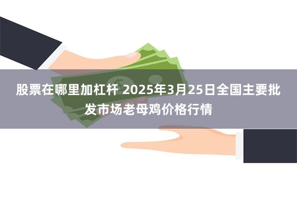 股票在哪里加杠杆 2025年3月25日全国主要批发市场老母鸡价格行情
