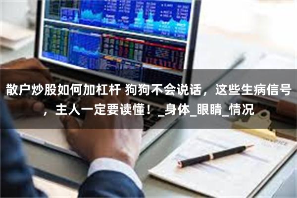 散户炒股如何加杠杆 狗狗不会说话，这些生病信号，主人一定要读懂！_身体_眼睛_情况