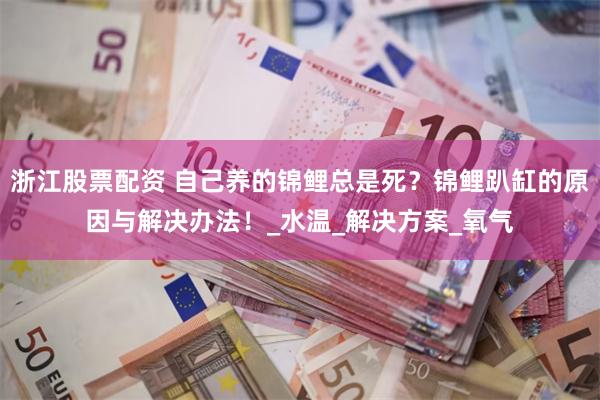浙江股票配资 自己养的锦鲤总是死？锦鲤趴缸的原因与解决办法！_水温_解决方案_氧气