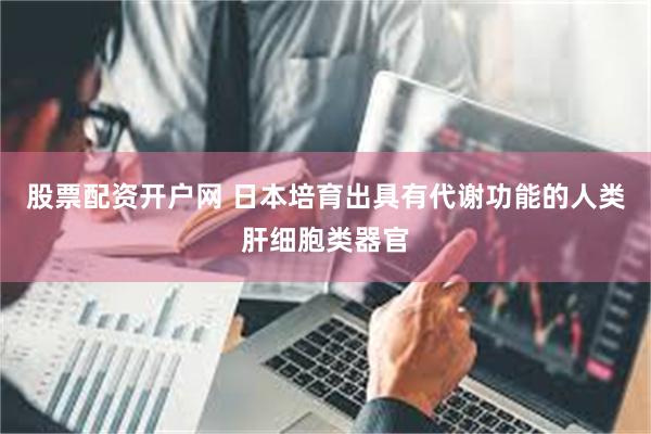 股票配资开户网 日本培育出具有代谢功能的人类肝细胞类器官