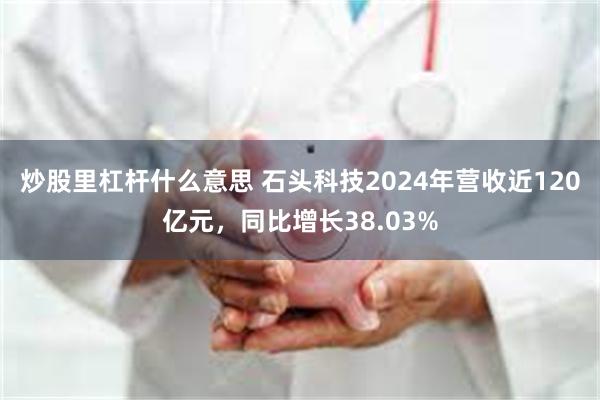 炒股里杠杆什么意思 石头科技2024年营收近120亿元，同比增长38.03%