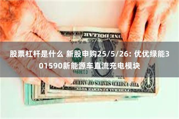 股票杠杆是什么 新股申购25/5/26: 优优绿能301590新能源车直流充电模块