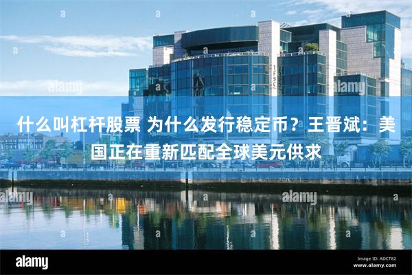什么叫杠杆股票 为什么发行稳定币？王晋斌：美国正在重新匹配全球美元供求