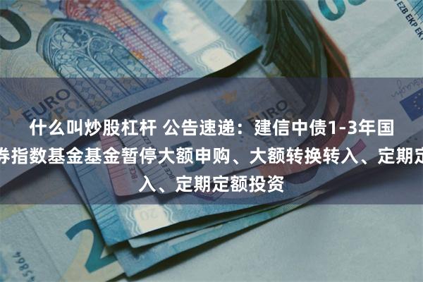 什么叫炒股杠杆 公告速递：建信中债1-3年国开行债券指数基金基金暂停大额申购、大额转换转入、定期定额投资