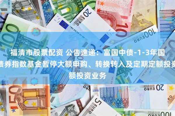 福清市股票配资 公告速递：富国中债-1-3年国开行债券指数基金暂停大额申购、转换转入及定期定额投资业务