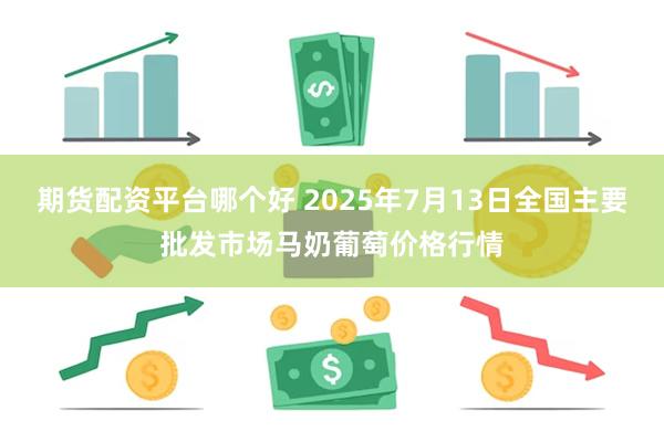 期货配资平台哪个好 2025年7月13日全国主要批发市场马奶葡萄价格行情