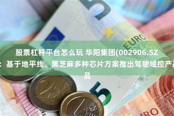 股票杠杆平台怎么玩 华阳集团(002906.SZ)：基于地平线、黑芝麻多种芯片方案推出驾驶域控产品
