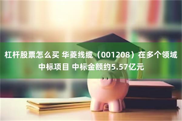 杠杆股票怎么买 华菱线缆（001208）在多个领域中标项目 中标金额约5.57亿元