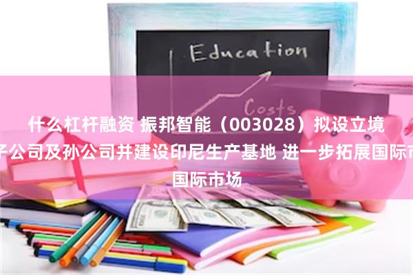 什么杠杆融资 振邦智能（003028）拟设立境外子公司及孙公司并建设印尼生产基地 进一步拓展国际市场