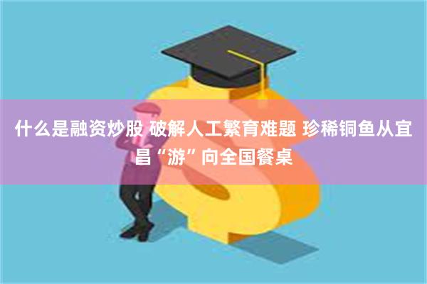 什么是融资炒股 破解人工繁育难题 珍稀铜鱼从宜昌“游”向全国餐桌