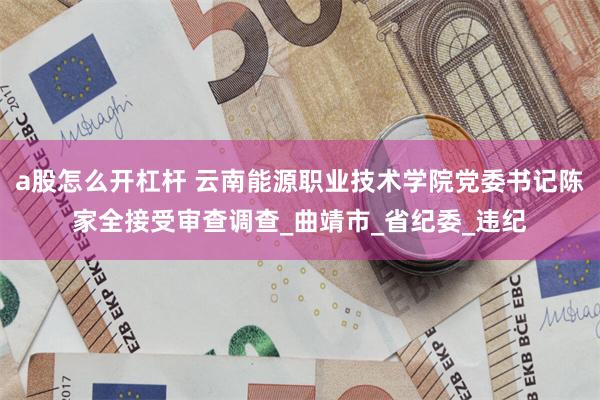 a股怎么开杠杆 云南能源职业技术学院党委书记陈家全接受审查调查_曲靖市_省纪委_违纪