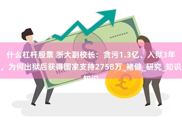 什么杠杆股票 浙大副校长：贪污1.3亿、入狱3年，为何出狱后获得国家支持2758万_褚健_研究_知识