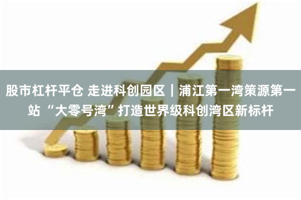 股市杠杆平仓 走进科创园区｜浦江第一湾策源第一站 “大零号湾”打造世界级科创湾区新标杆